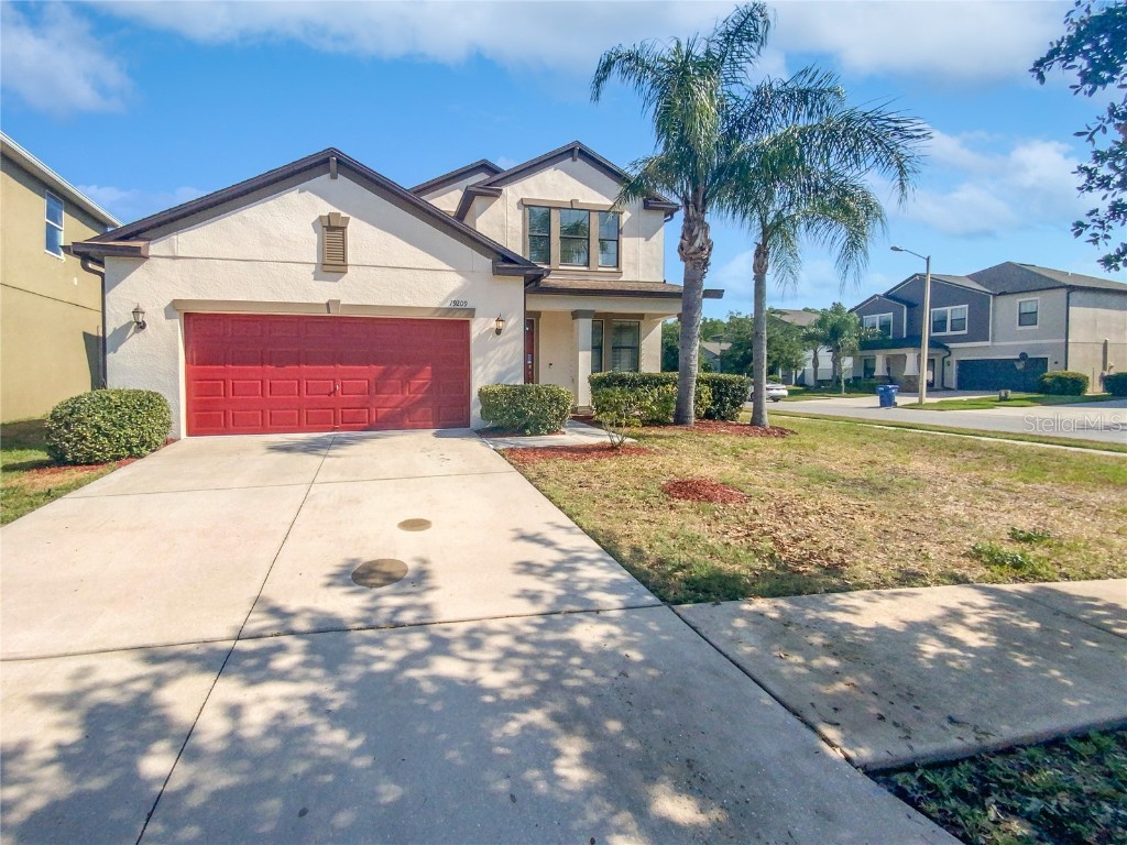 19209 Andrea Lynn Lane Land O Lakes FL 34638 O6210566 image1