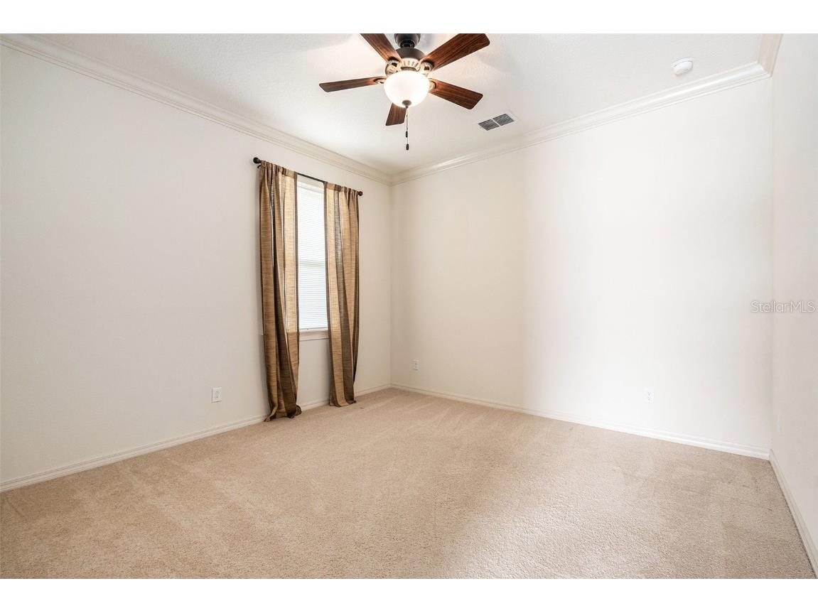 19209 Long Lake Ranch Boulevard Lutz FL 33558 TB8400434 image17