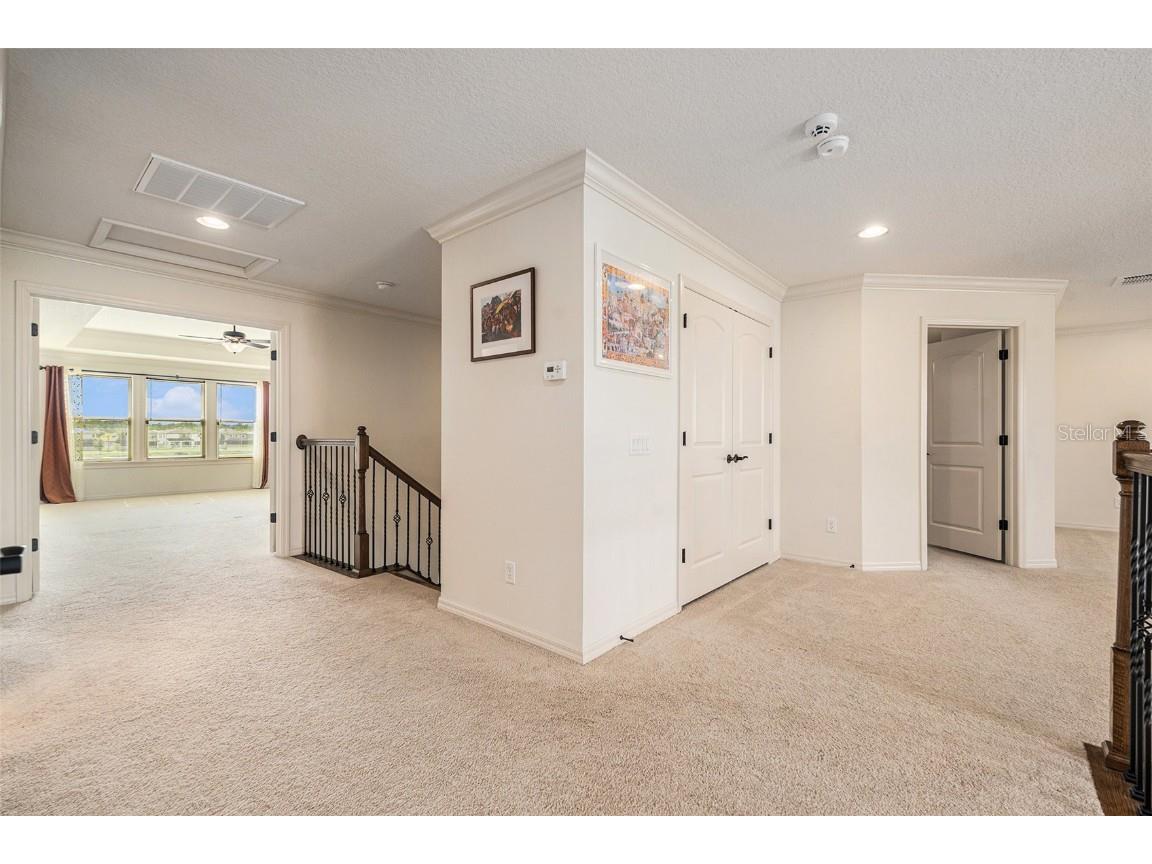 19209 Long Lake Ranch Boulevard Lutz FL 33558 TB8400434 image19