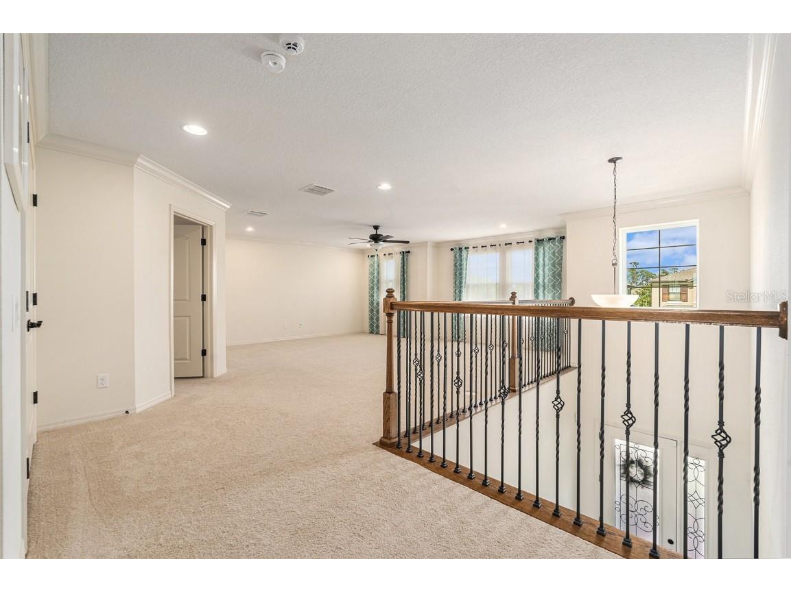 19209 Long Lake Ranch Boulevard Lutz FL 33558 TB8400434 image20