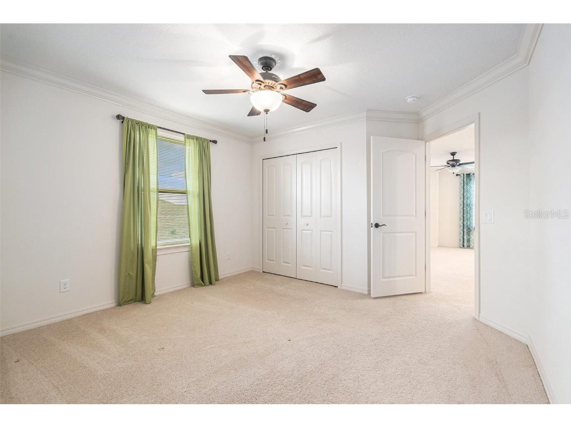 19209 Long Lake Ranch Boulevard Lutz FL 33558 TB8400434 image25