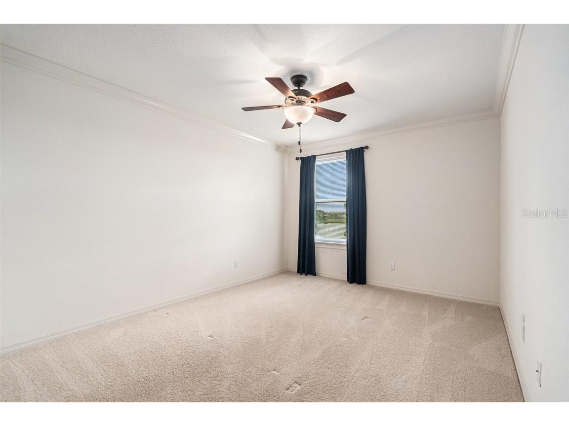 19209 Long Lake Ranch Boulevard Lutz FL 33558 TB8400434 image29