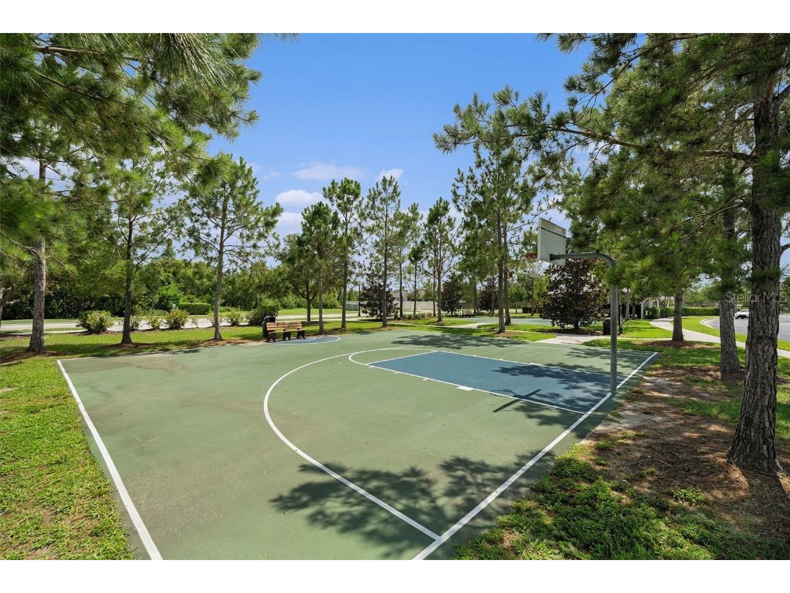 19209 Long Lake Ranch Boulevard Lutz FL 33558 TB8400434 image44