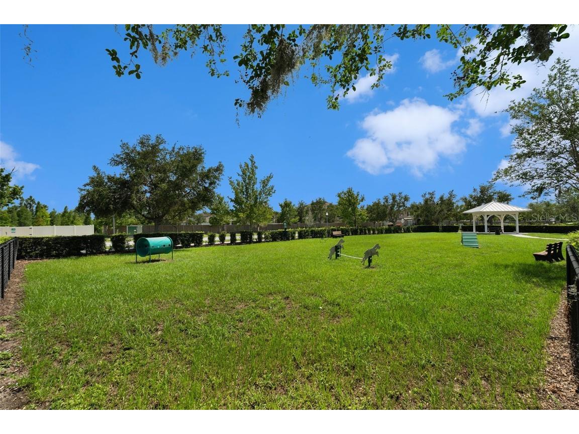 19209 Long Lake Ranch Boulevard Lutz FL 33558 TB8400434 image46