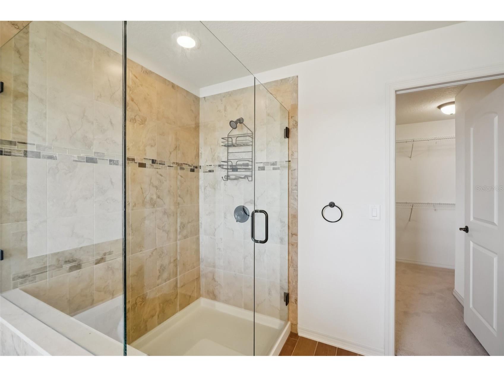 19209 Long Lake Ranch Boulevard Lutz FL 33558 TB8487243 image22