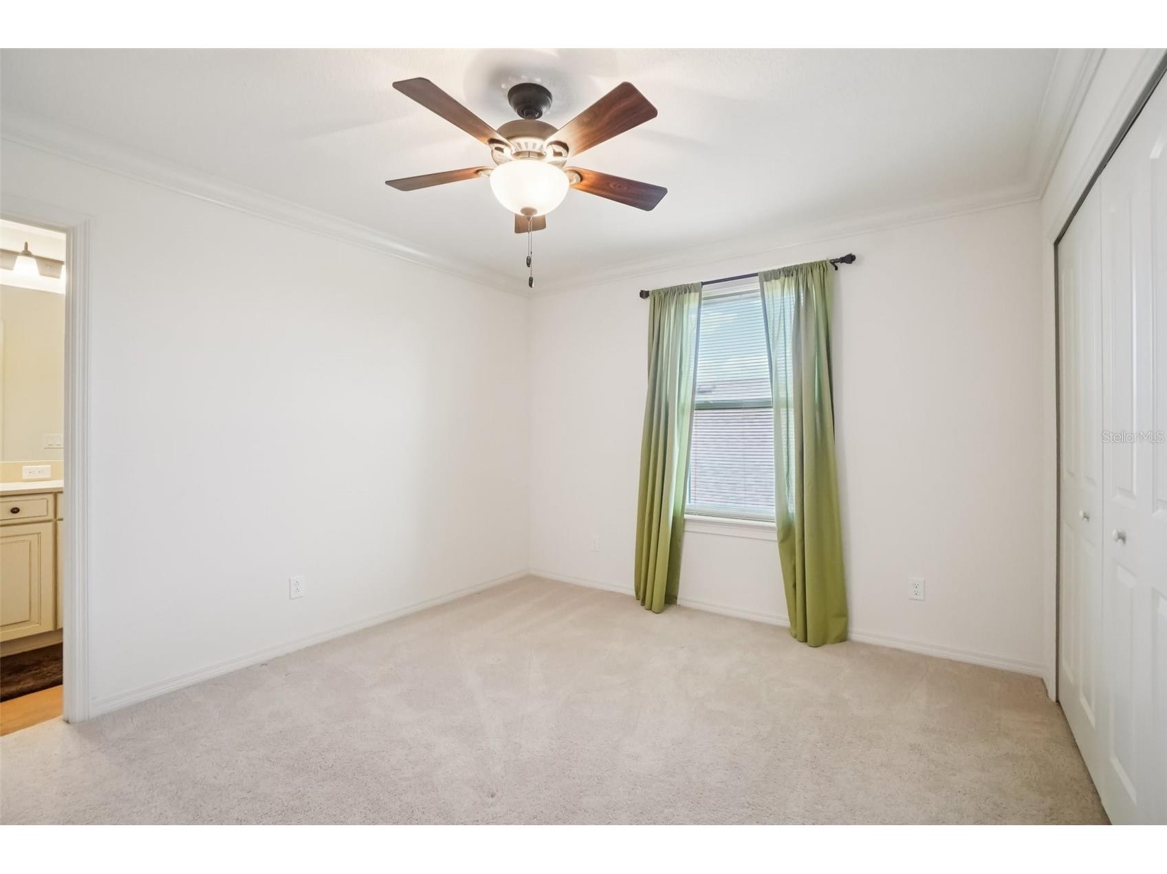 19209 Long Lake Ranch Boulevard Lutz FL 33558 TB8487243 image25