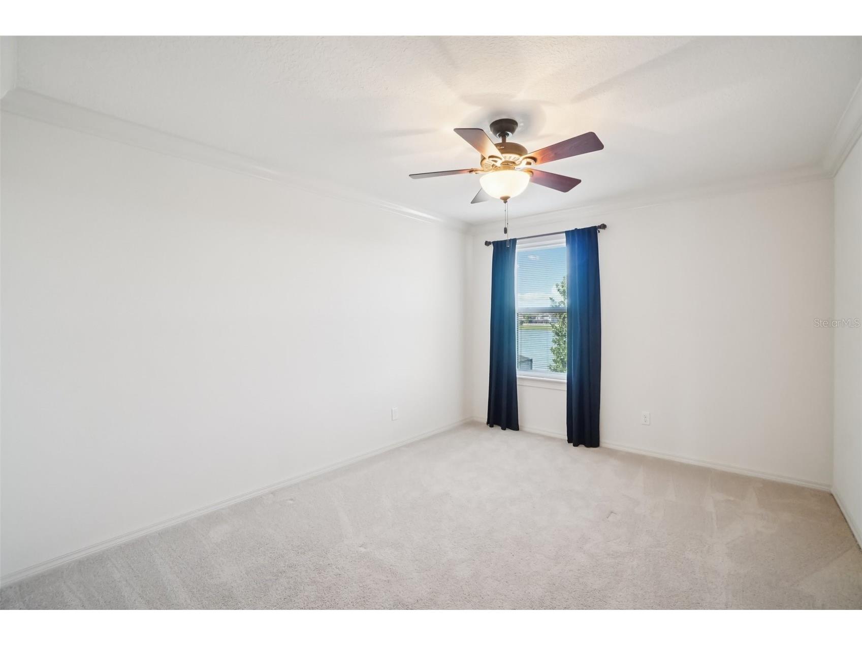 19209 Long Lake Ranch Boulevard Lutz FL 33558 TB8487243 image28