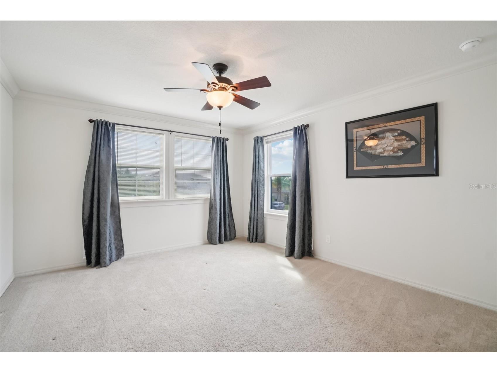 19209 Long Lake Ranch Boulevard Lutz FL 33558 TB8487243 image31