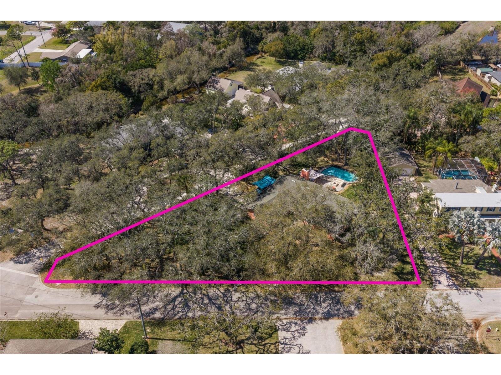 1921 Cardinal Road Dunedin FL 34698 TB8479956 image34