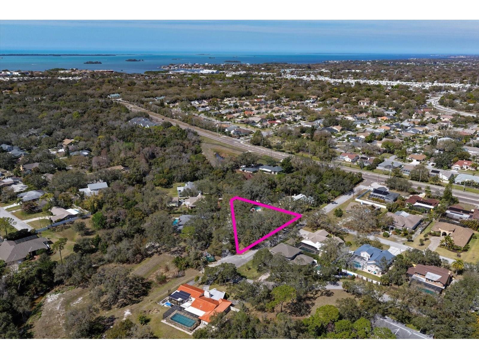 1921 Cardinal Road Dunedin FL 34698 TB8479956 image48