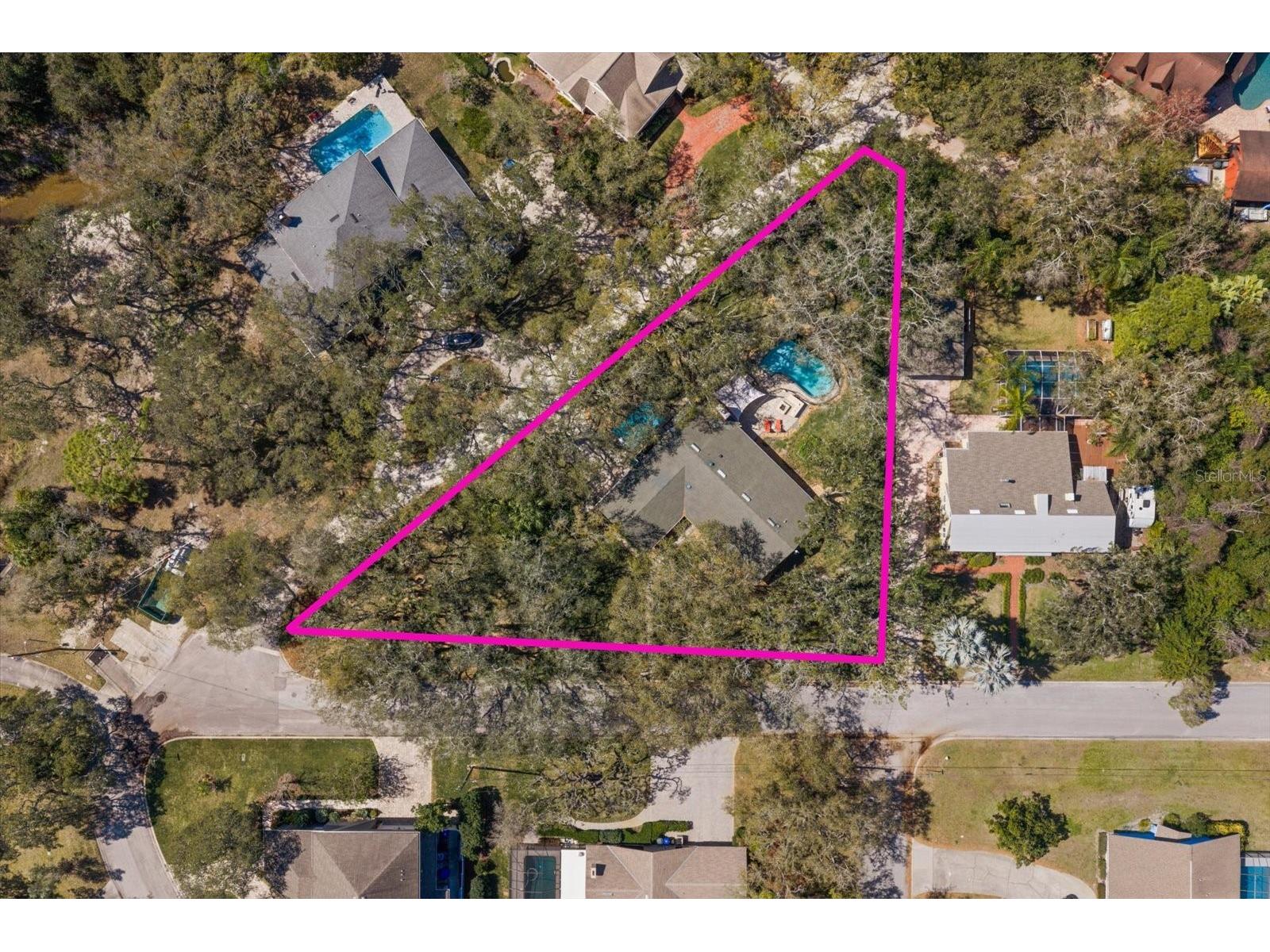 1921 Cardinal Road Dunedin FL 34698 TB8479956 image49