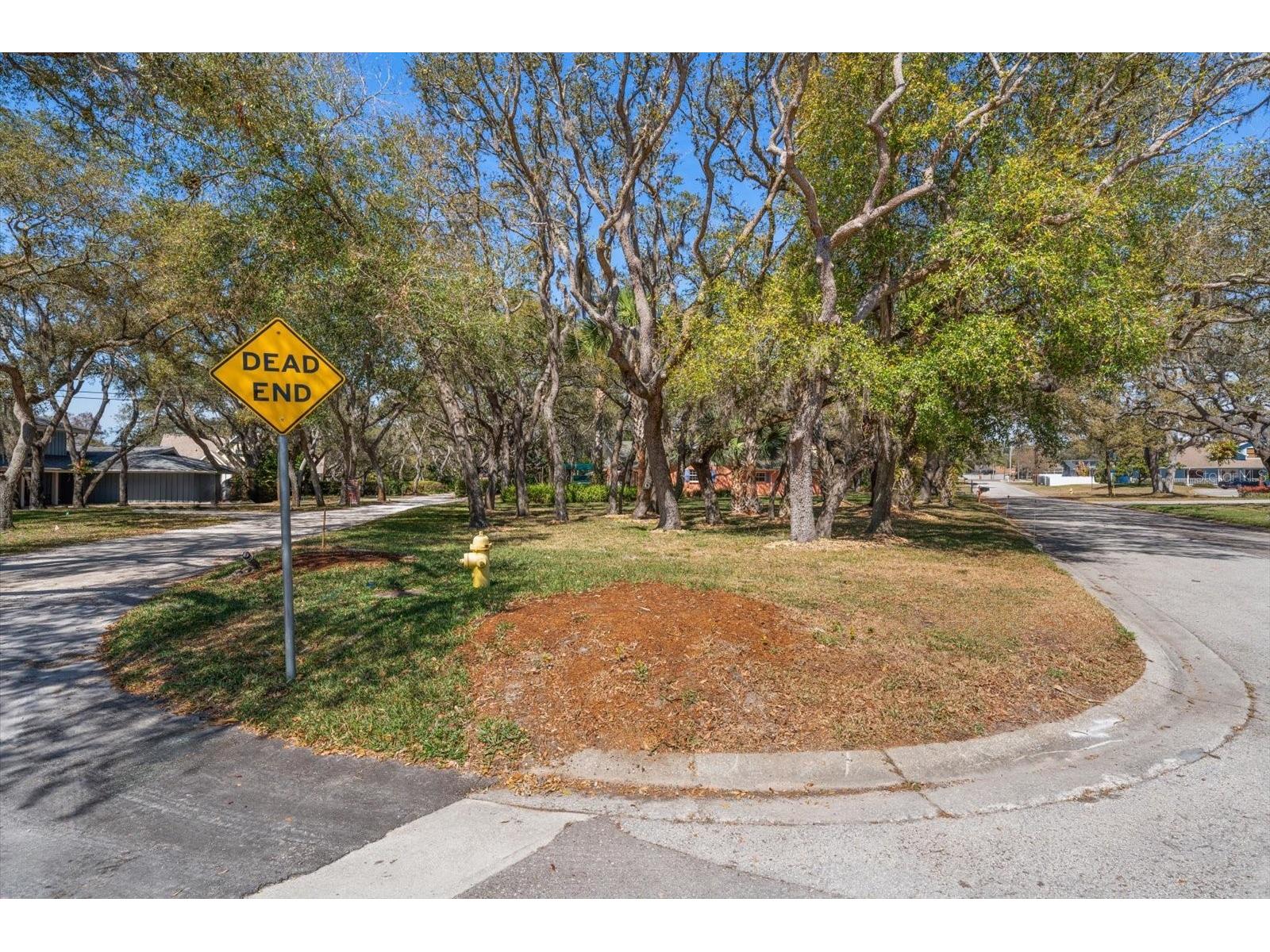 1921 Cardinal Road Dunedin FL 34698 TB8479956 image50