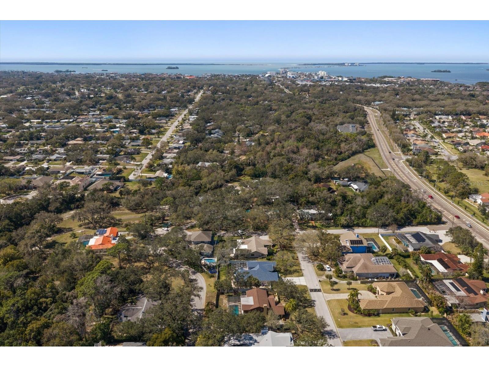 1921 Cardinal Road Dunedin FL 34698 TB8479956 image51