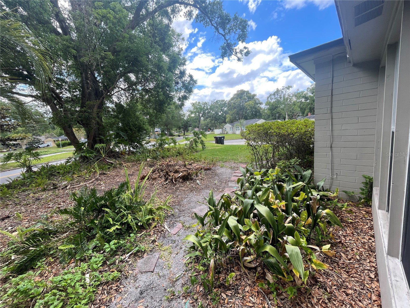 1921 Stanley Street Orlando FL 32803 O6401499 image24