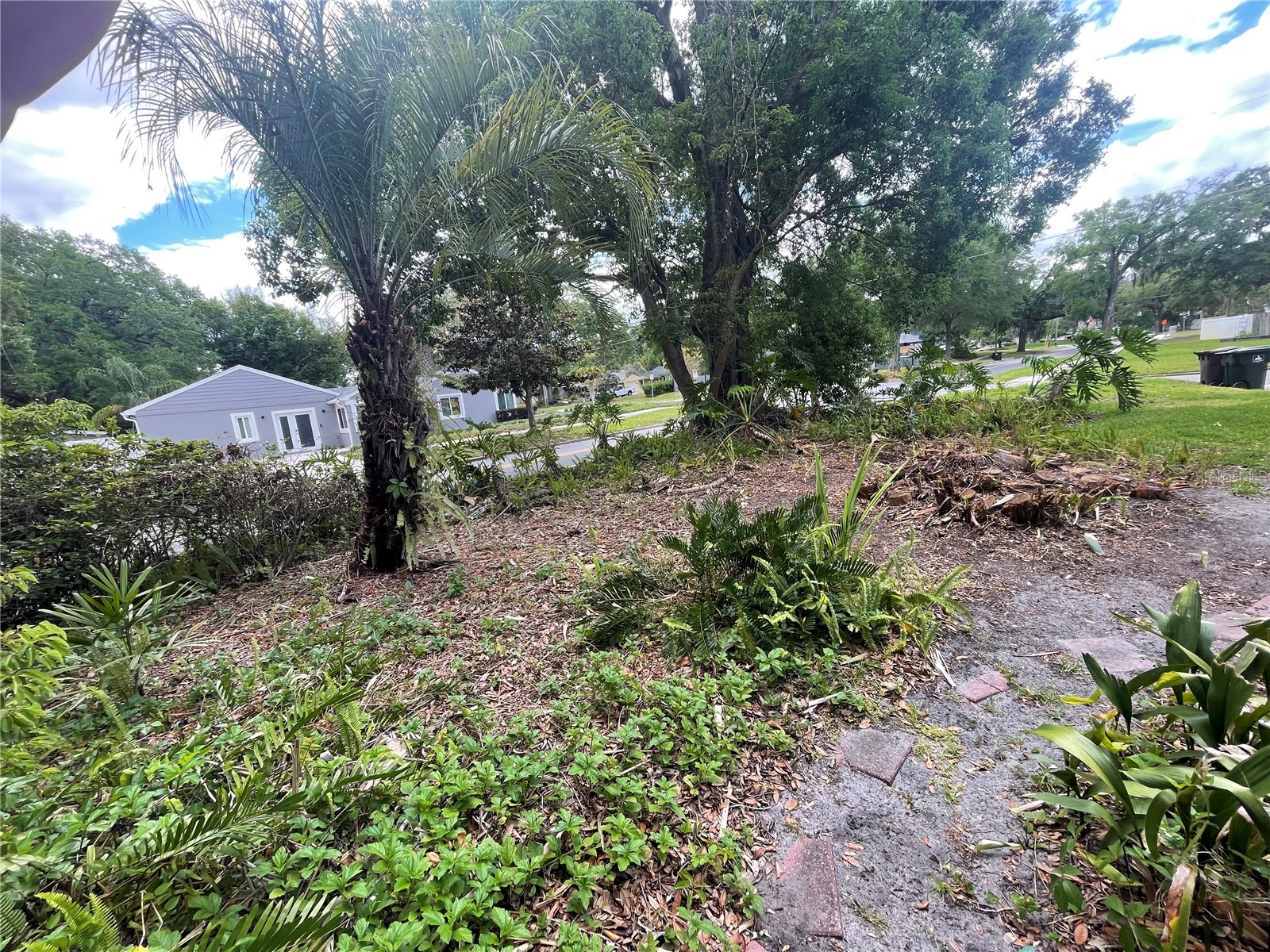1921 Stanley Street Orlando FL 32803 O6401499 image25