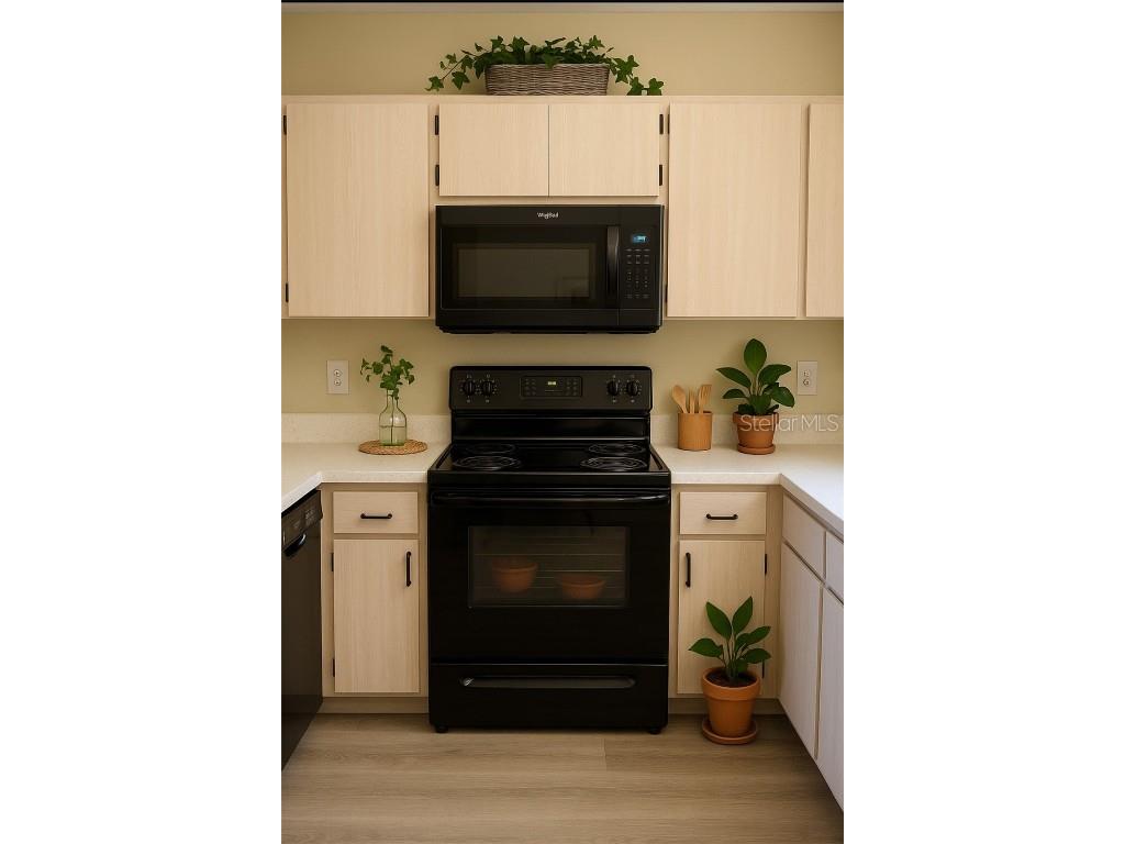 1921 Tinker Drive Lutz FL 33559 TB8441674 image3