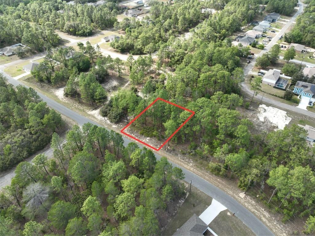 1921 W Riley Drive Dunnellon FL 34434 O6355875 image3