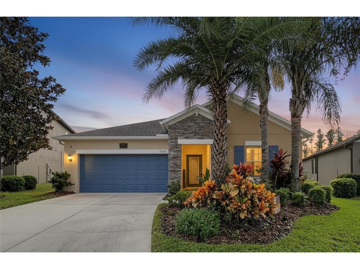 19210 Alexandrea Lee Court Land O Lakes FL 34638 TB8442349 image1