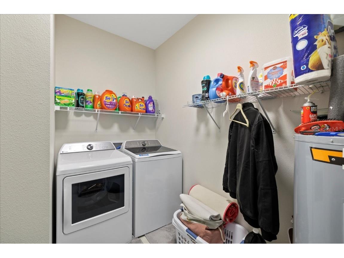 19212 Sunlake Boulevard Lutz FL 33558 TB8385075 image10