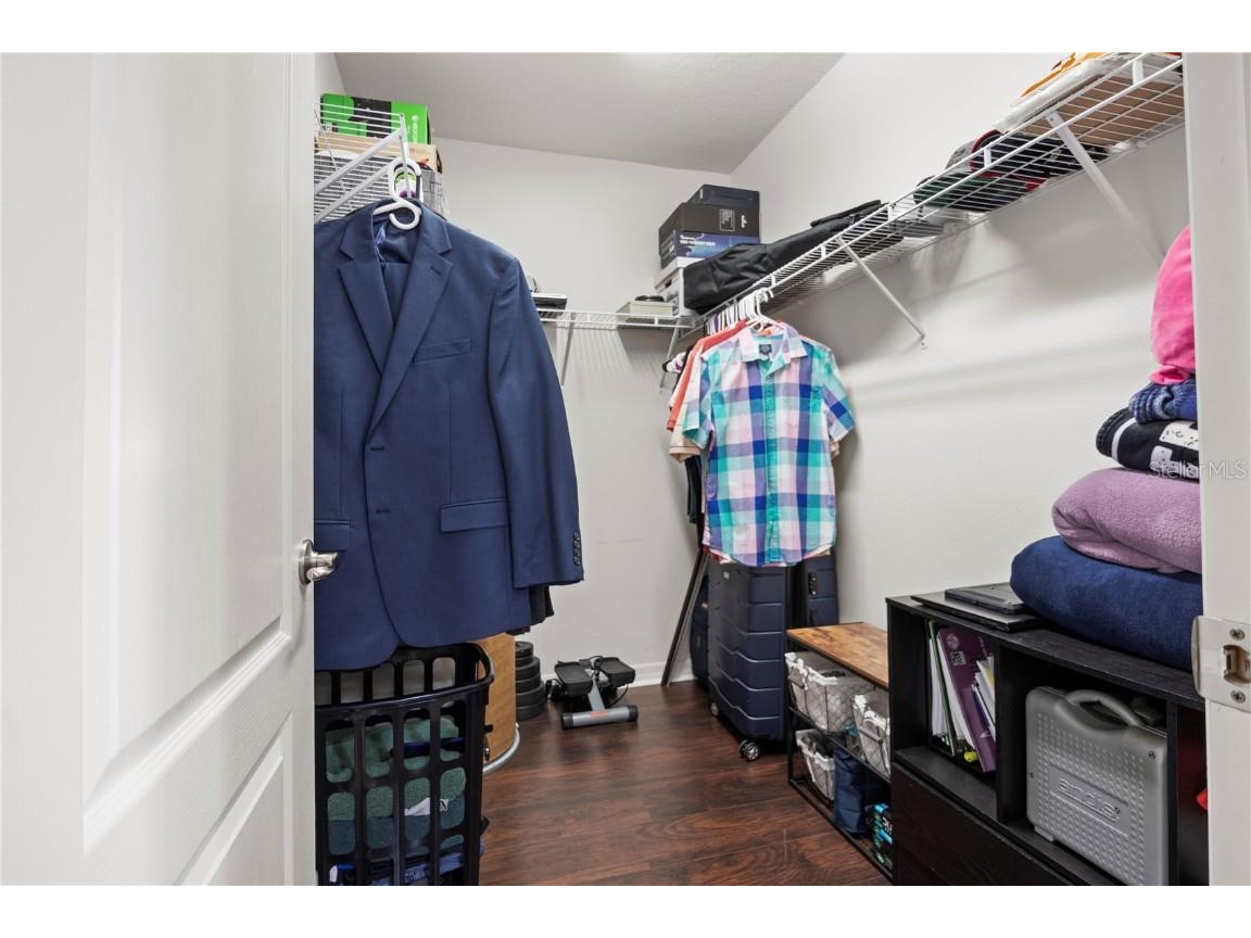 19214 Early Violet Drive NE Tampa FL 33647 TB8365770 image17