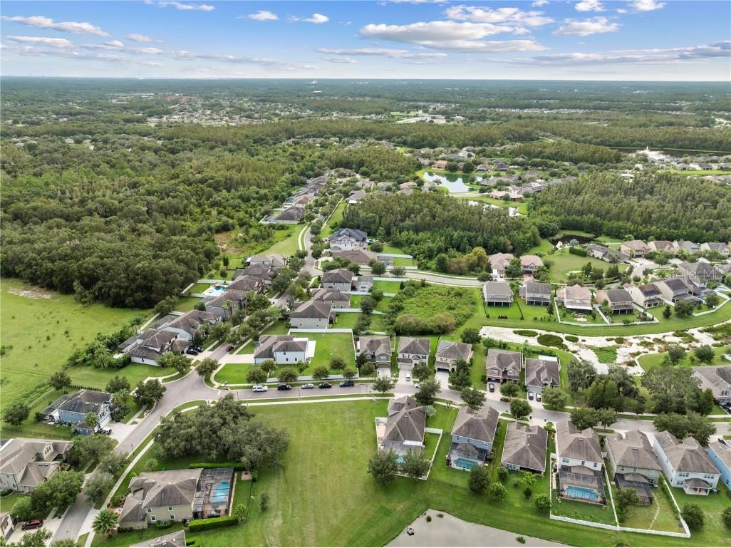 19214 Early Violet Drive NE Tampa FL 33647 TB8365770 image32