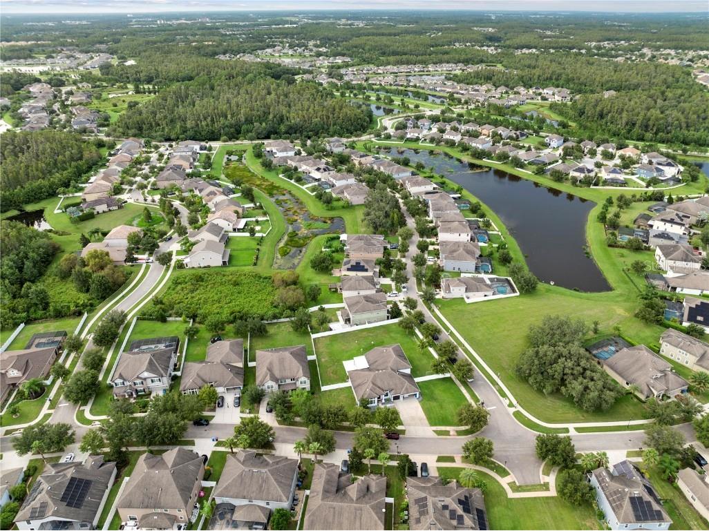 19214 Early Violet Drive NE Tampa FL 33647 TB8365770 image33