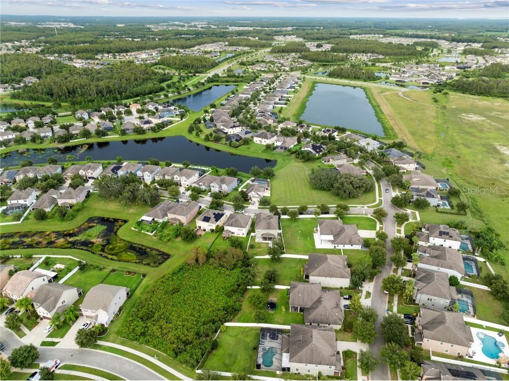 19214 Early Violet Drive NE Tampa FL 33647 TB8365770 image34