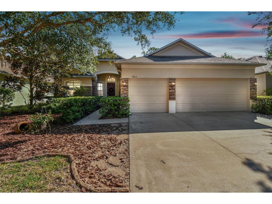 19215 Pelican Ridge Lane Tampa FL 33647 T3469783 image1