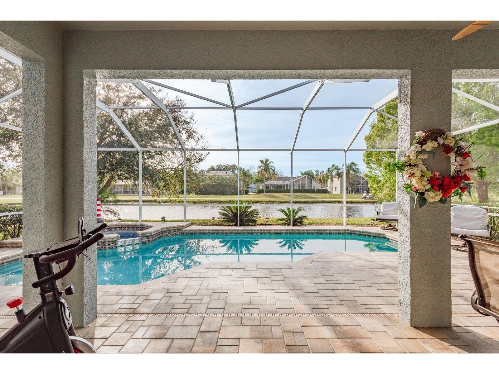 19216 Inlet Cove Court Lutz FL 33558 W7883474 image17