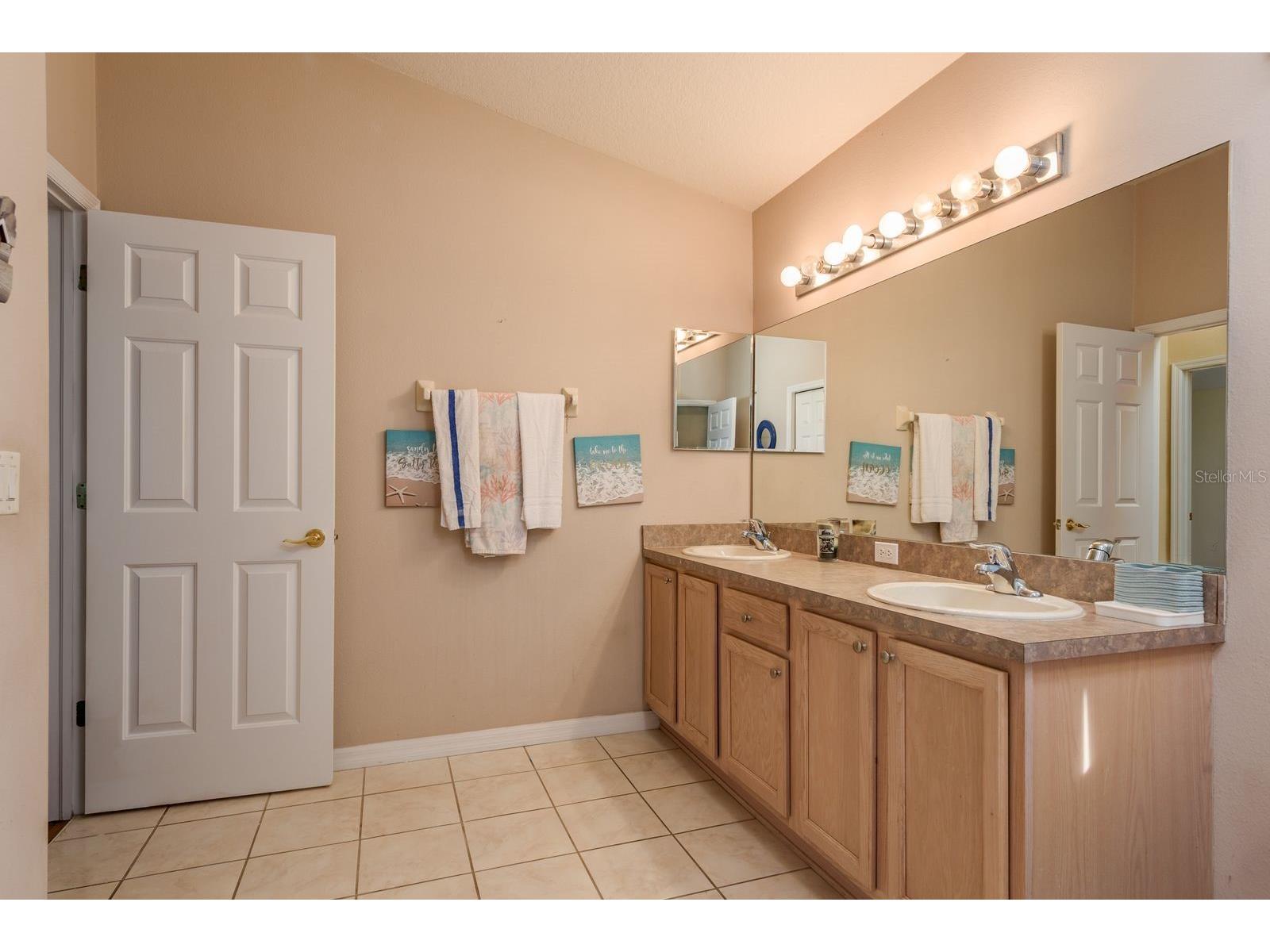 19216 Inlet Cove Court Lutz FL 33558 W7883474 image21