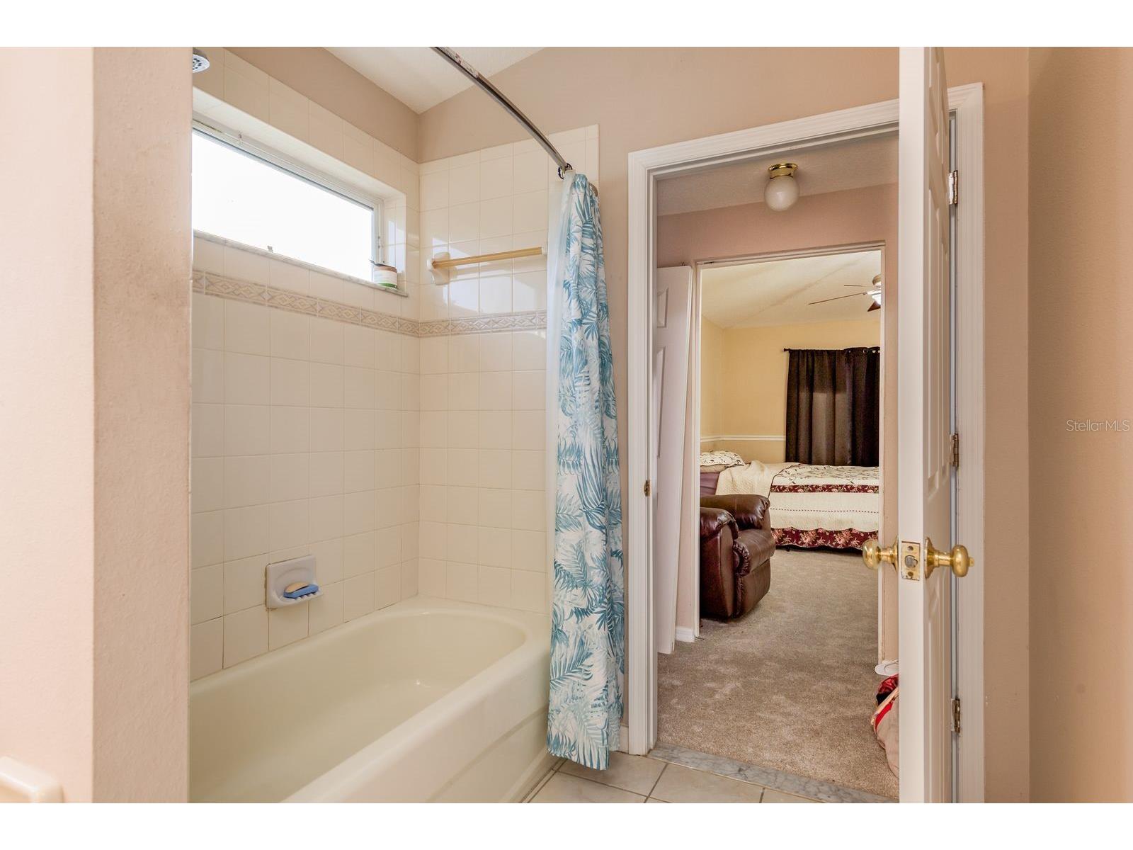 19216 Inlet Cove Court Lutz FL 33558 W7883474 image35