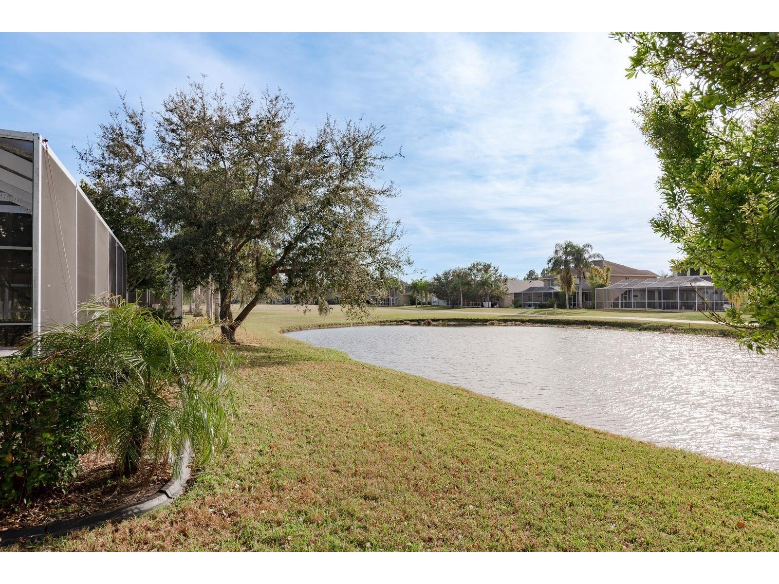 19216 Inlet Cove Court Lutz FL 33558 W7883474 image39