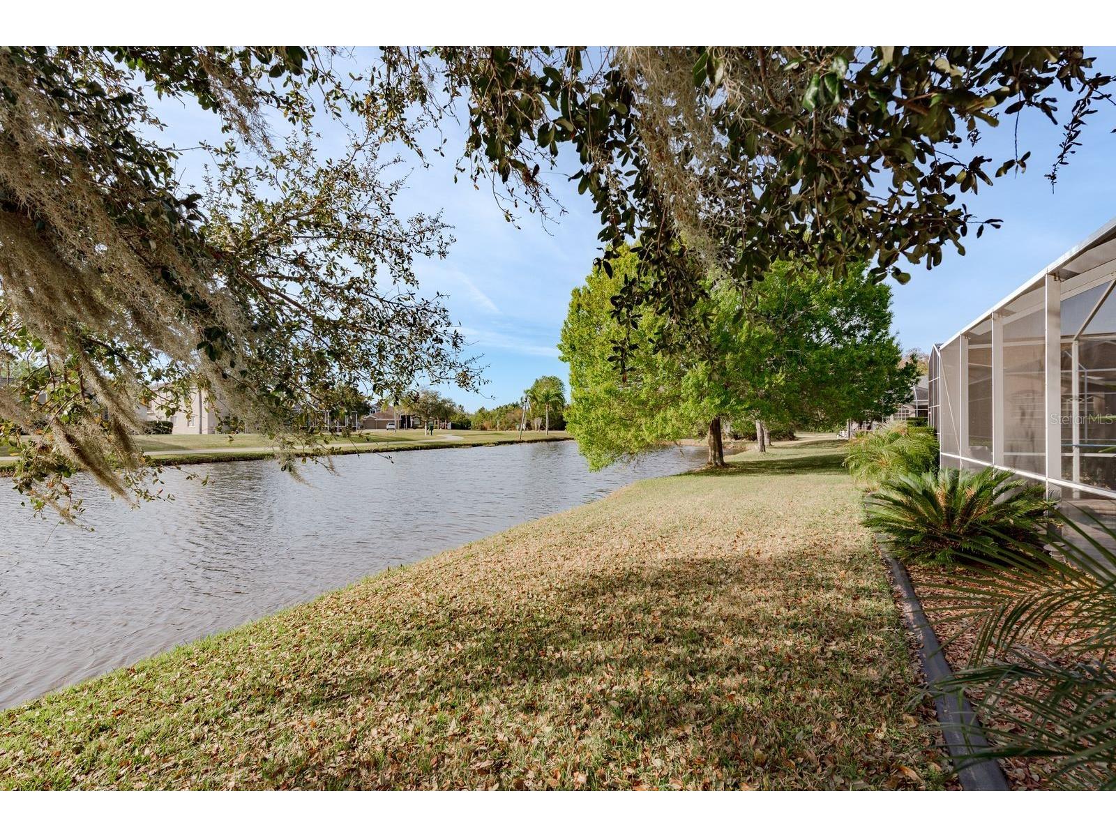 19216 Inlet Cove Court Lutz FL 33558 W7883474 image40