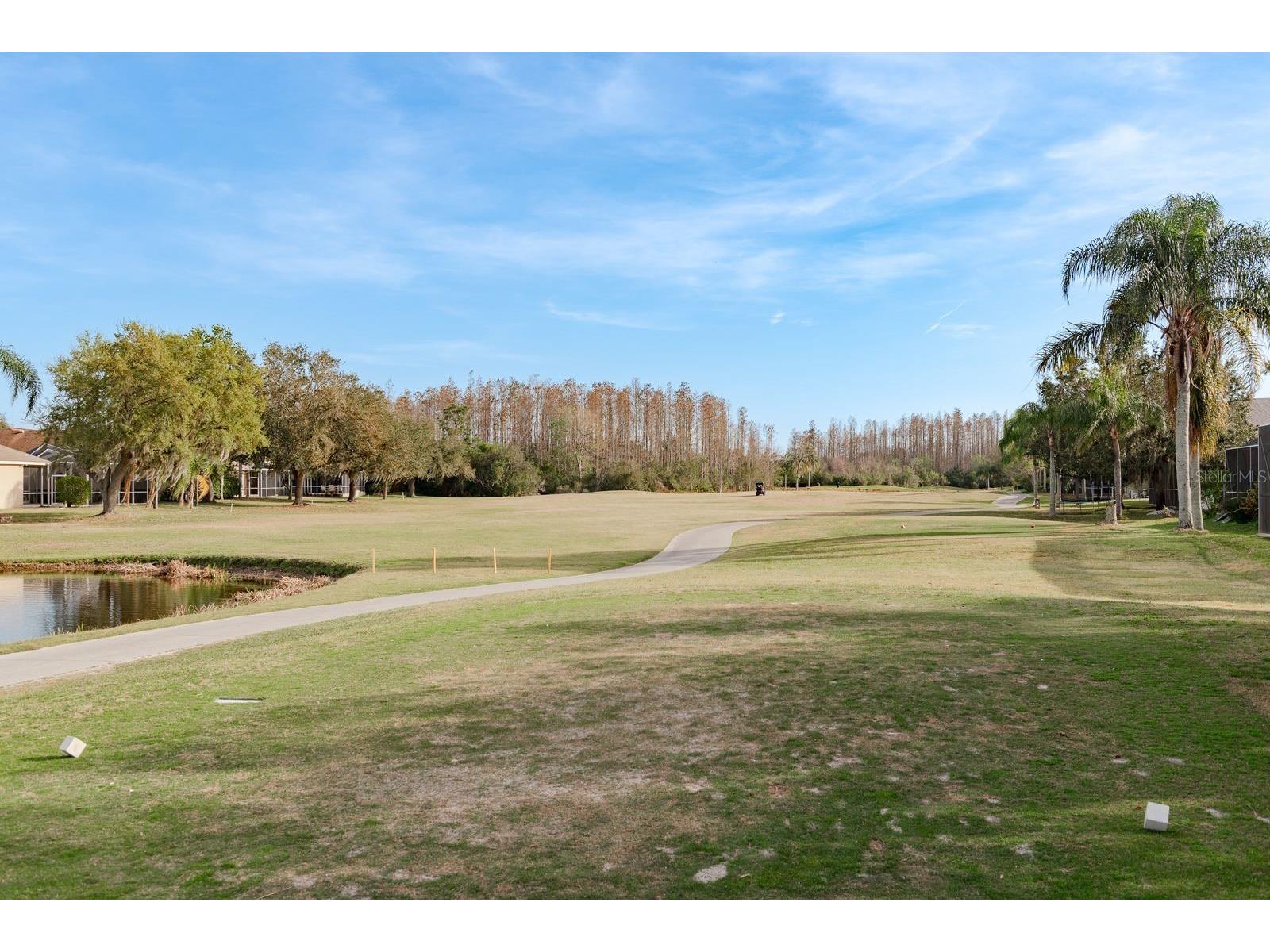 19216 Inlet Cove Court Lutz FL 33558 W7883474 image43