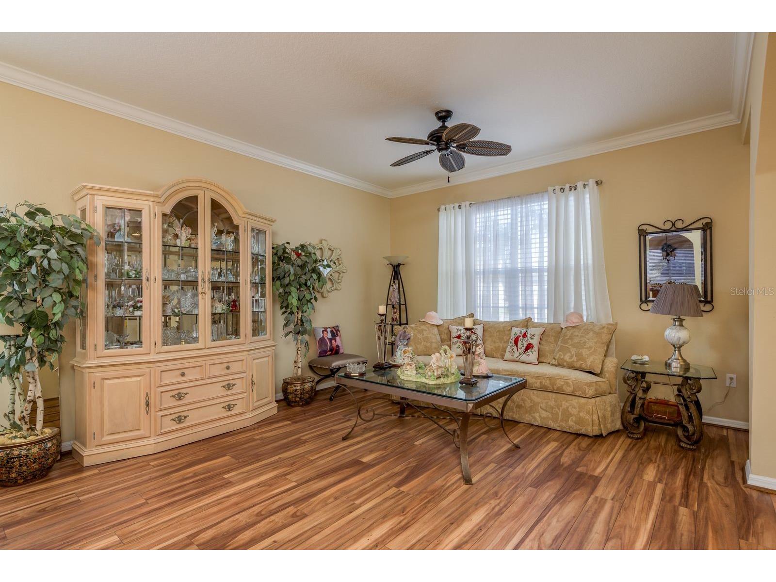19216 Inlet Cove Court Lutz FL 33558 W7883474 image6