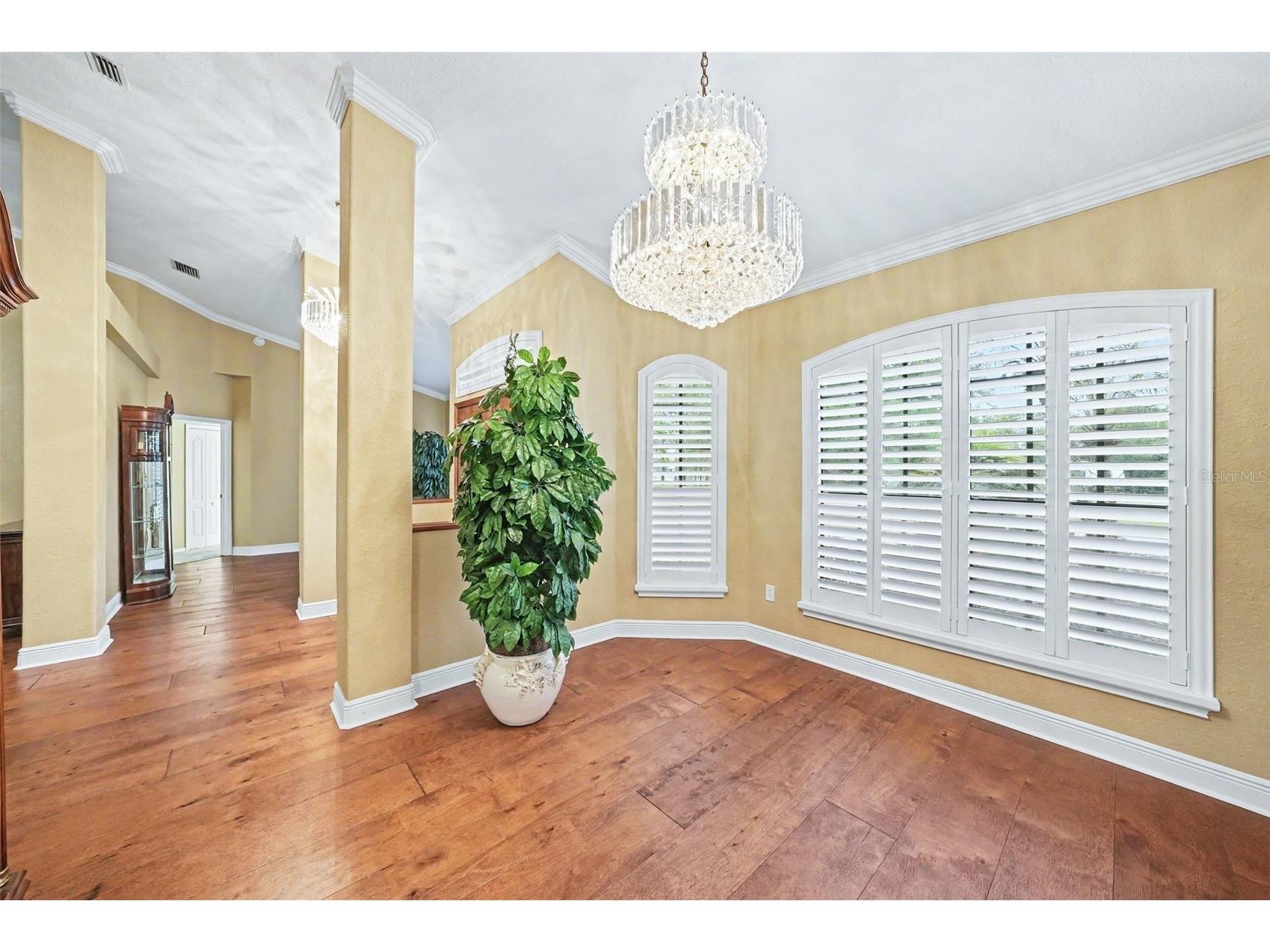 19216 Ridgelake Drive Lutz FL 33549 TB8484236 image19