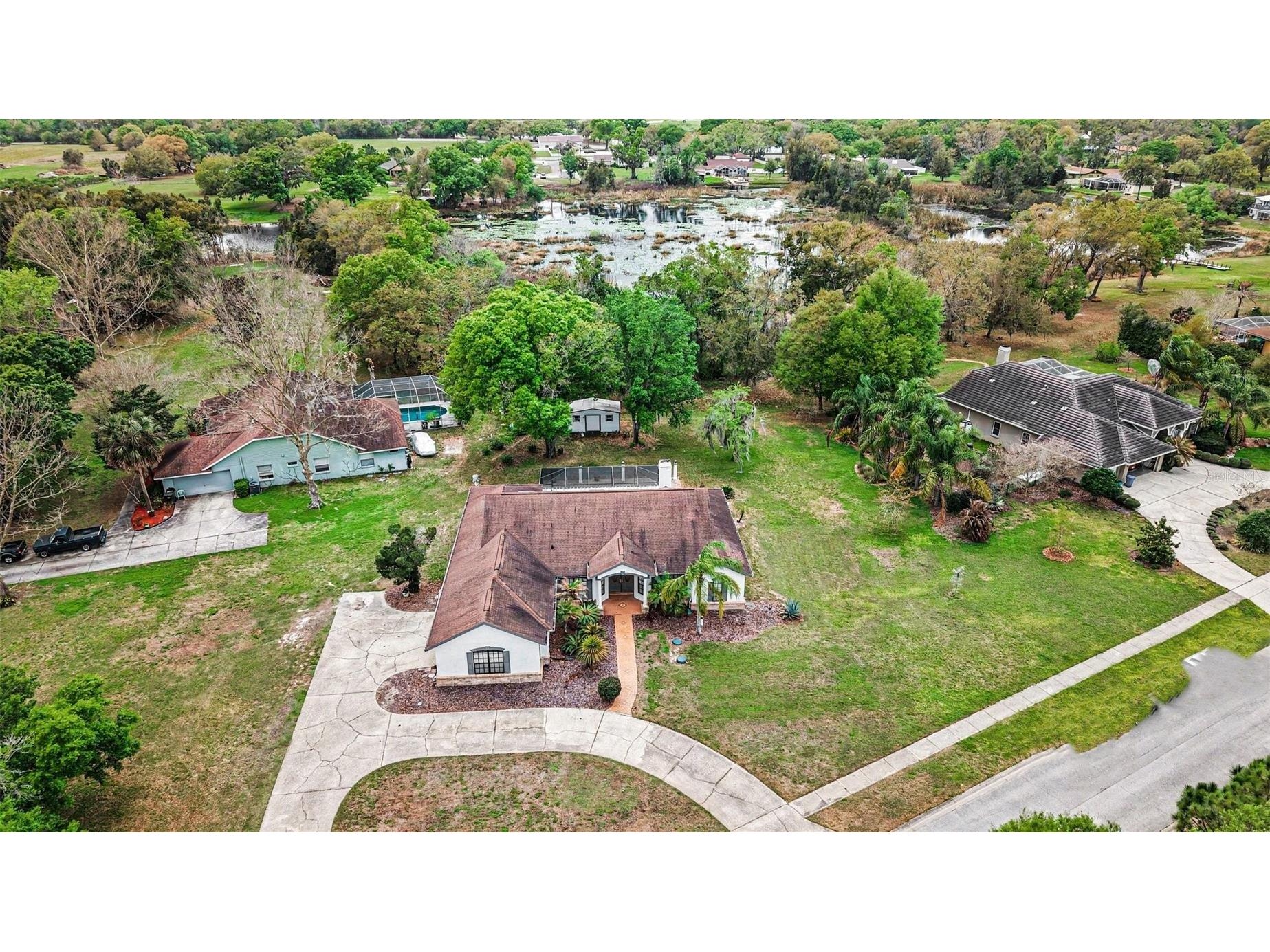19216 Ridgelake Drive Lutz FL 33549 TB8484236 image32