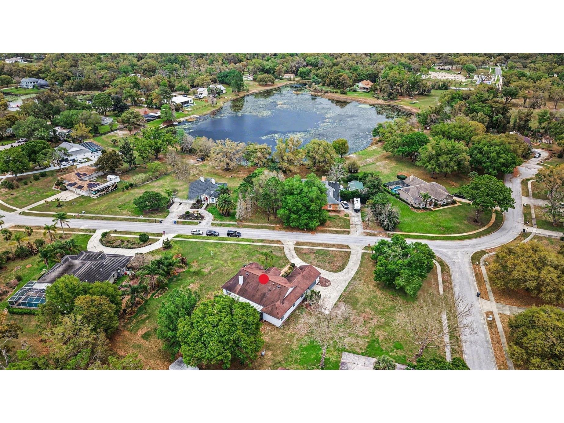 19216 Ridgelake Drive Lutz FL 33549 TB8484236 image5