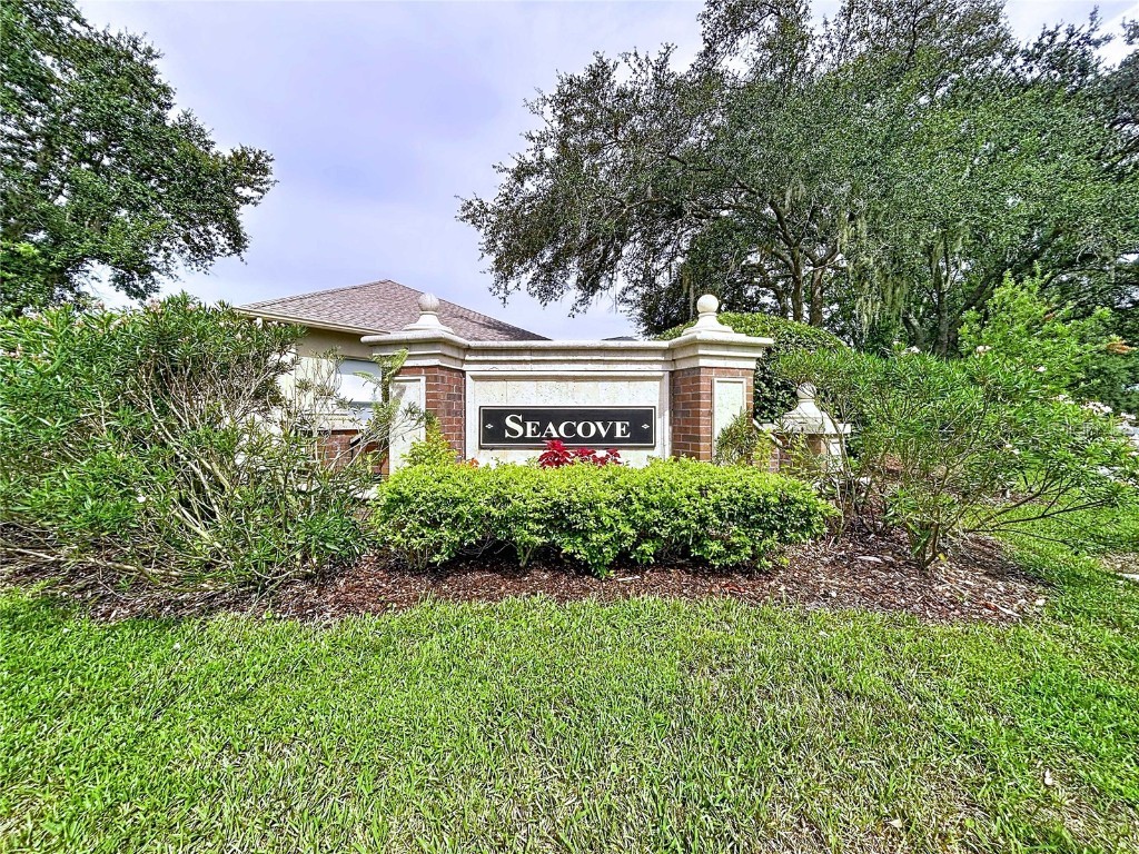 19217 Sea Mist Lane Lutz FL 33558 TB8429773 image10