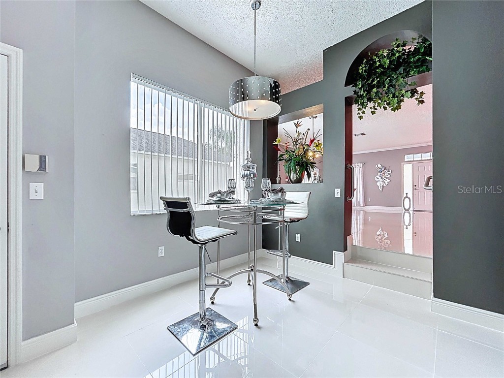 19217 Sea Mist Lane Lutz FL 33558 TB8429773 image28