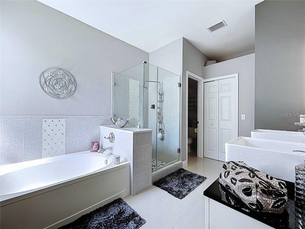 19217 Sea Mist Lane Lutz FL 33558 TB8429773 image47