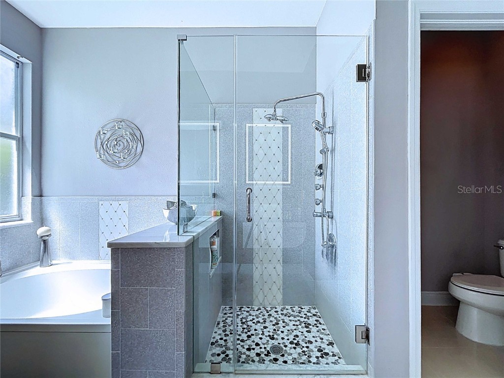 19217 Sea Mist Lane Lutz FL 33558 TB8429773 image50