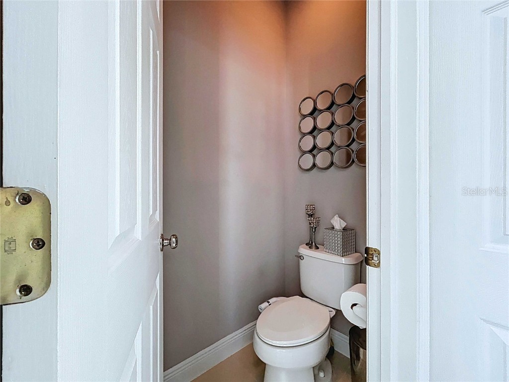 19217 Sea Mist Lane Lutz FL 33558 TB8429773 image51