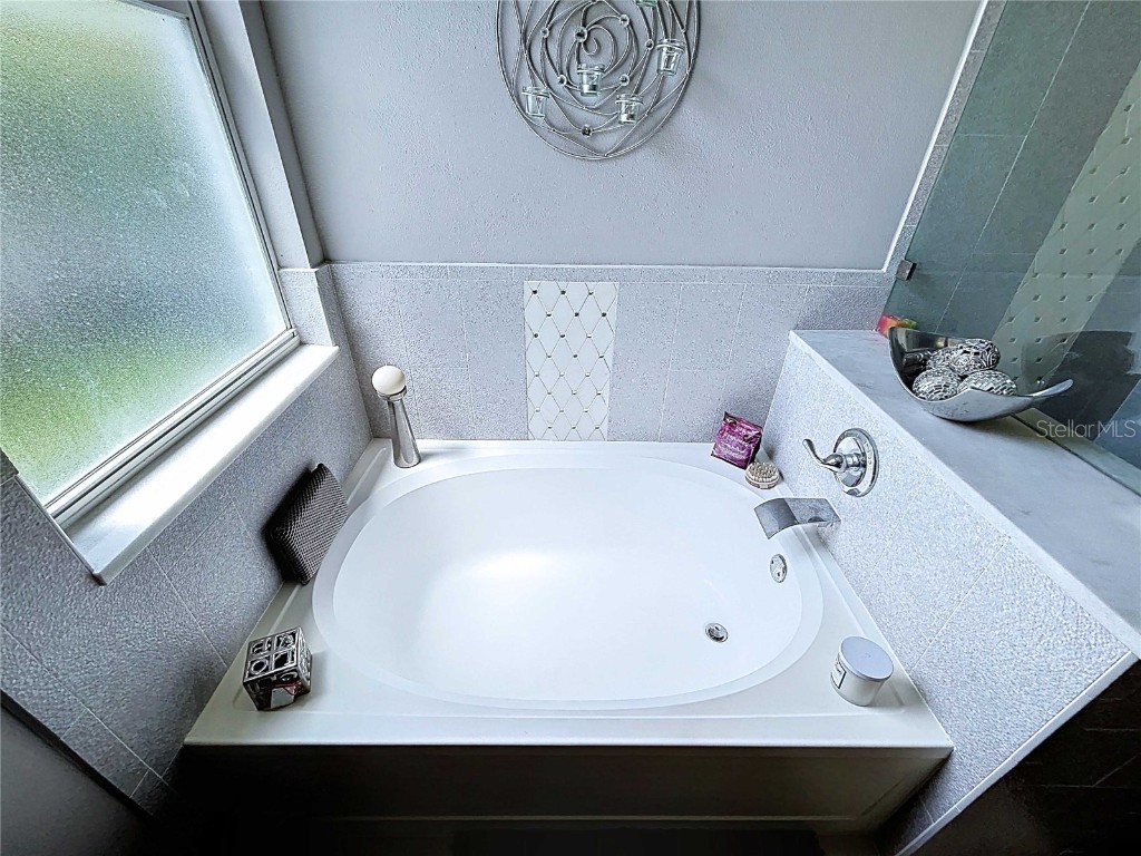 19217 Sea Mist Lane Lutz FL 33558 TB8429773 image52