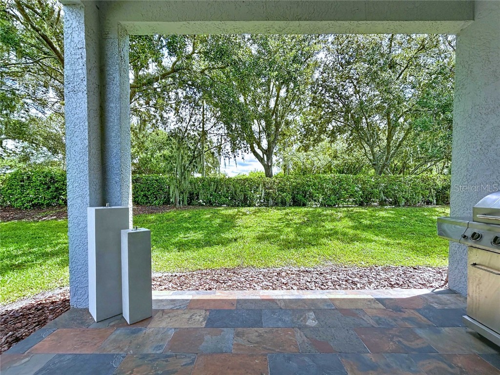 19217 Sea Mist Lane Lutz FL 33558 TB8429773 image67