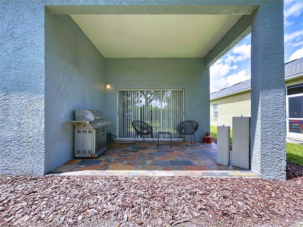 19217 Sea Mist Lane Lutz FL 33558 TB8429773 image68