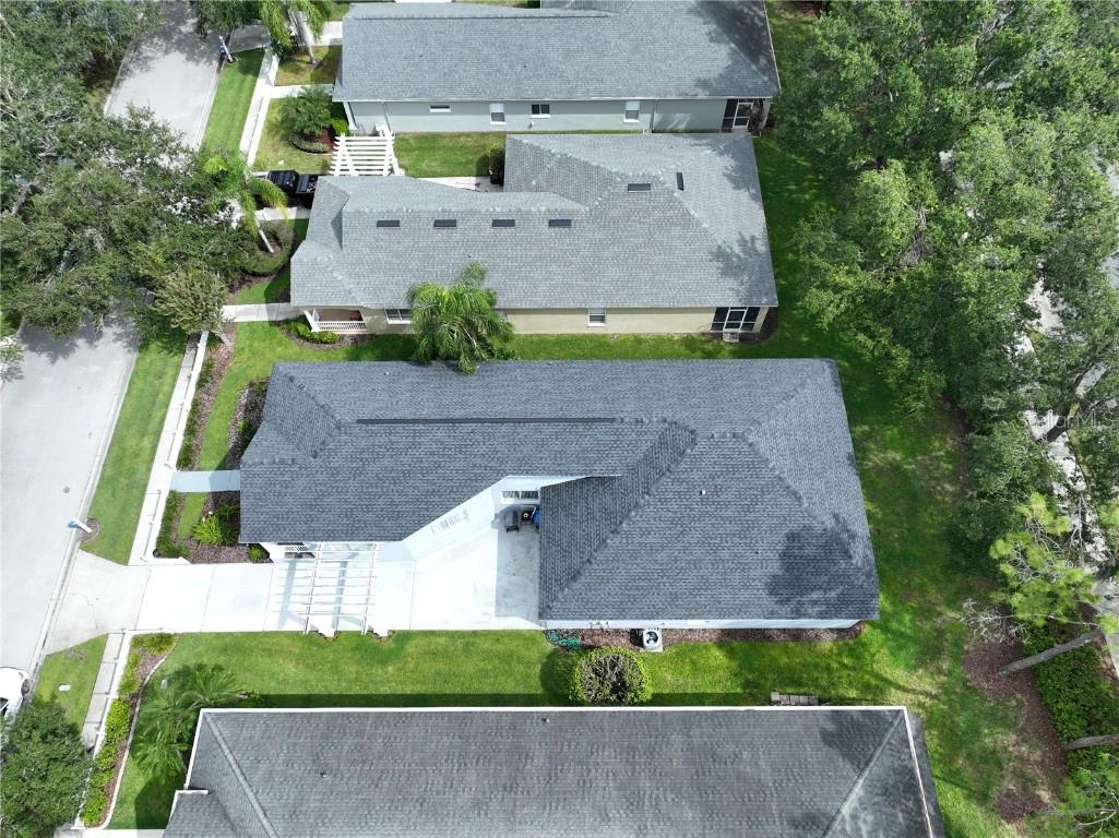 19217 Sea Mist Lane Lutz FL 33558 TB8429773 image75