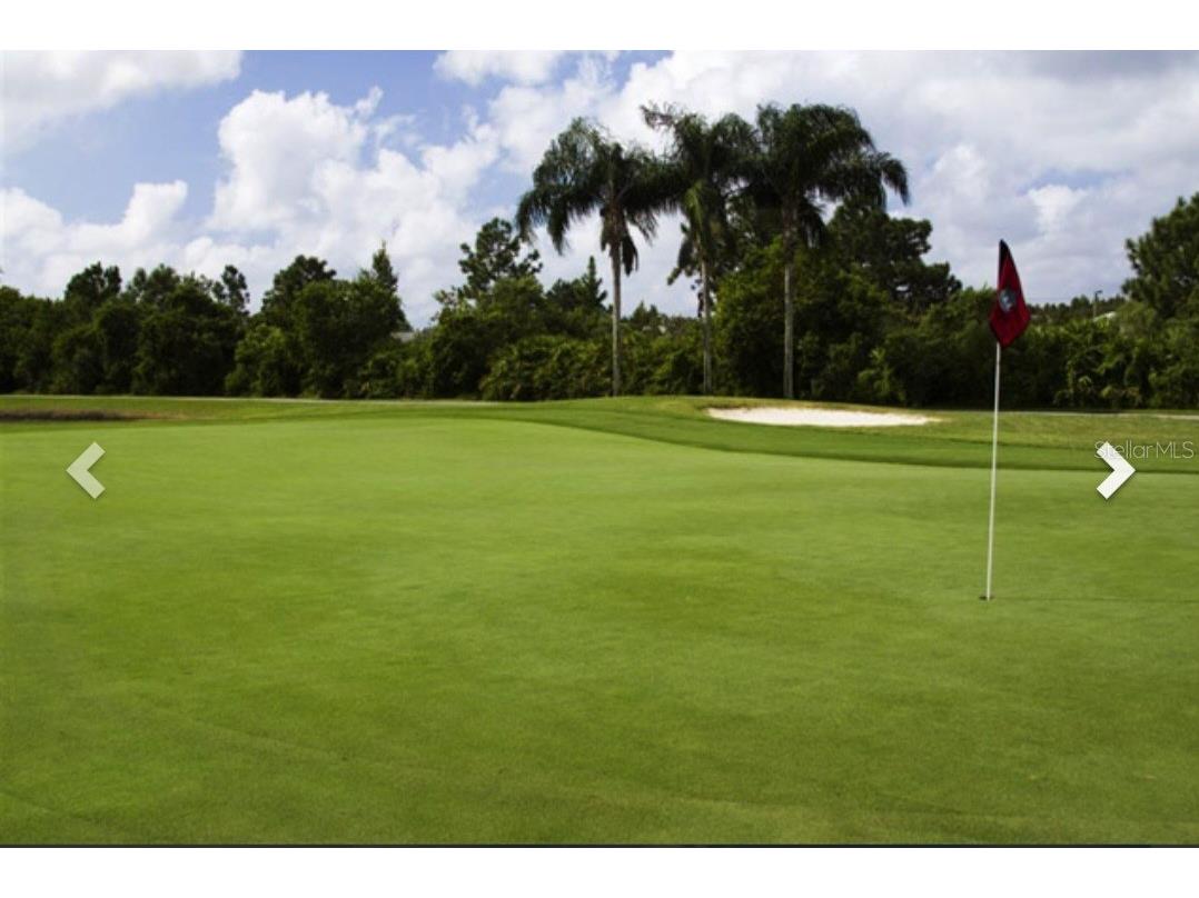 19217 Sea Mist Lane Lutz FL 33558 TB8429773 image94