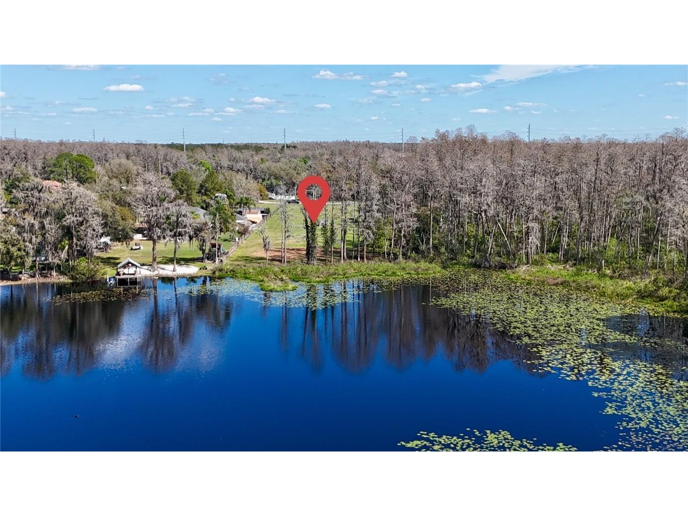 19218 Blount Road Lutz FL 33558 - LAKE VIRGINIA TB8453528 image1