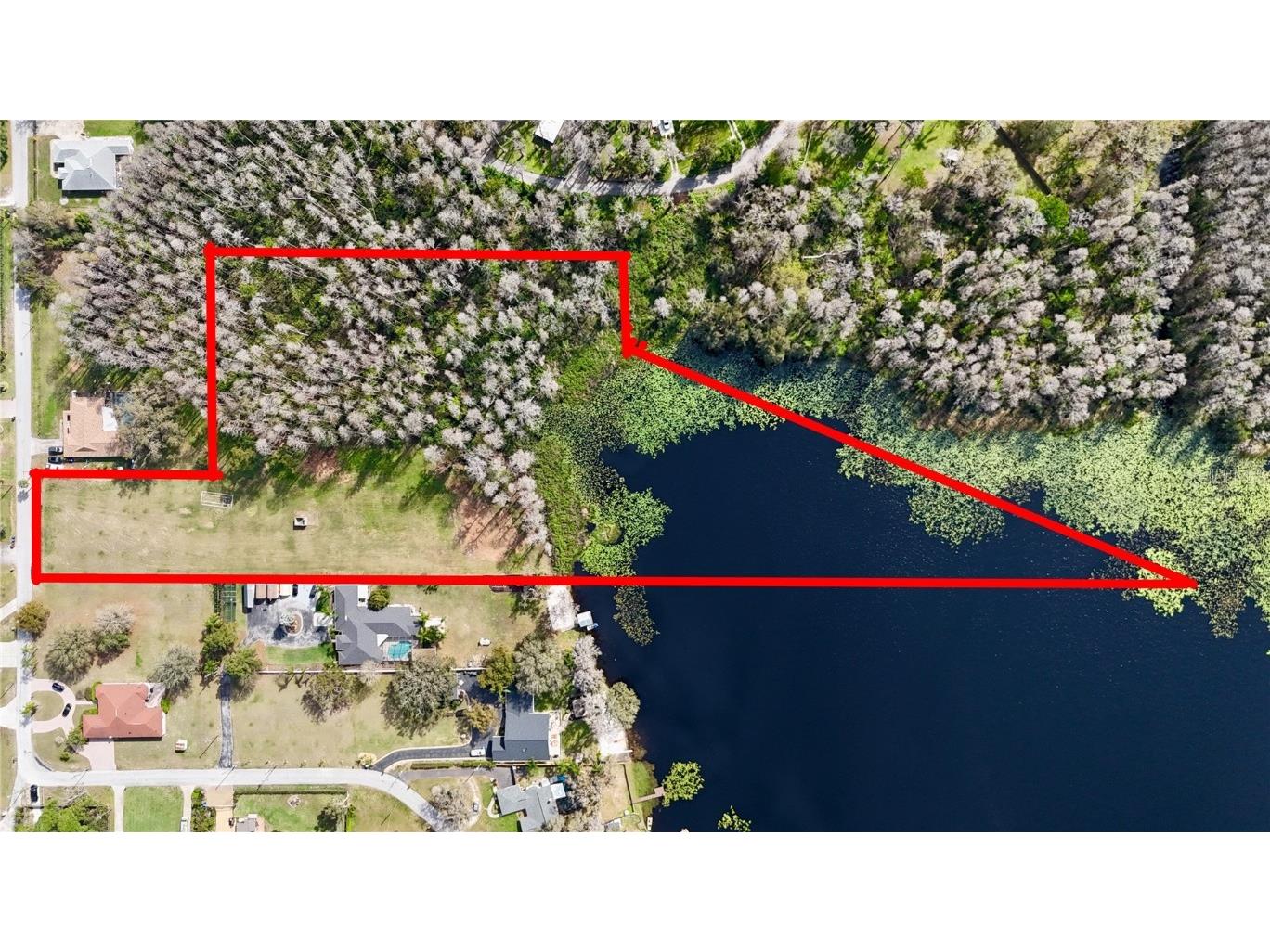 19218 Blount Road Lutz FL 33558 - LAKE VIRGINIA TB8453528 image5